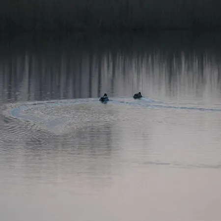 Starfish Modern Retreat Ferienhaus Otterndorf