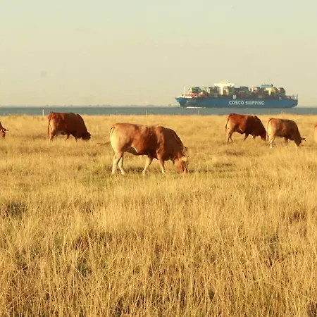 Starfish Modern Retreat Otterndorf