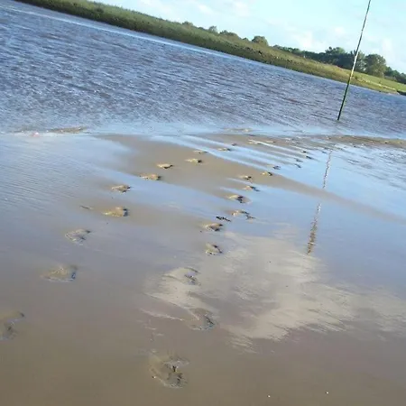 Starfish Modern Retreat Ferienhaus