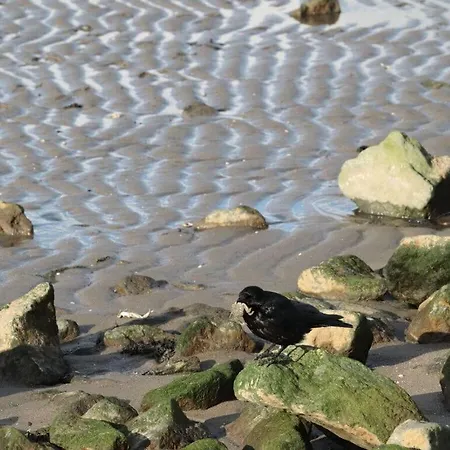 Starfish Modern Retreat * Otterndorf