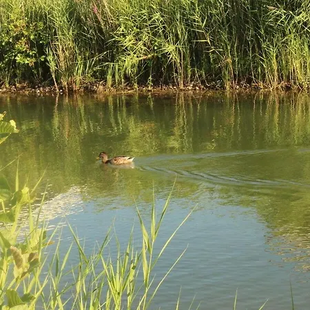 Starfish Modern Retreat * Otterndorf