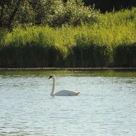 Starfish Modern Retreat Otterndorf