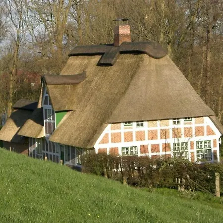 Starfish Modern Retreat